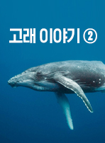고래 이야기 ②