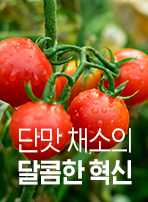 단맛 채소의 달콤한 혁신