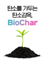 탄소를 가두는 탄소감옥, BioChar