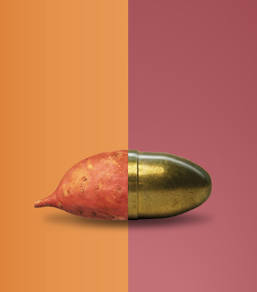 식량의 지배자들, ABCD