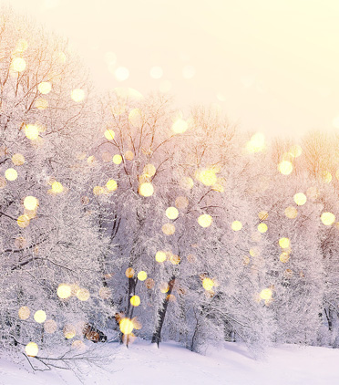 리셋, 연말에는 리더도 놀자