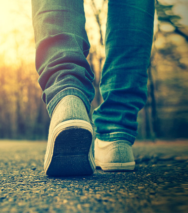 새해, 지혜롭게 걸어가 봅시다