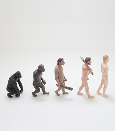 호모 사피엔스의 교훈