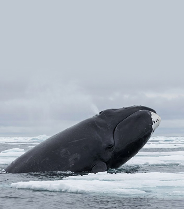 200년을 사는 비밀