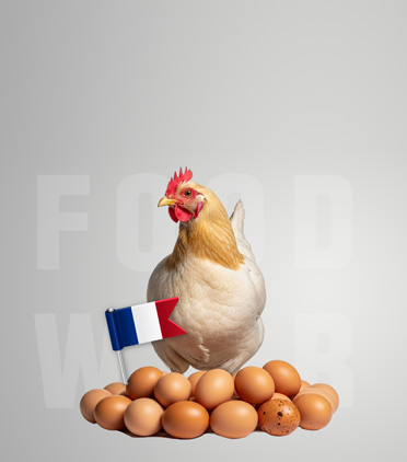 프랑스의 비밀 병기