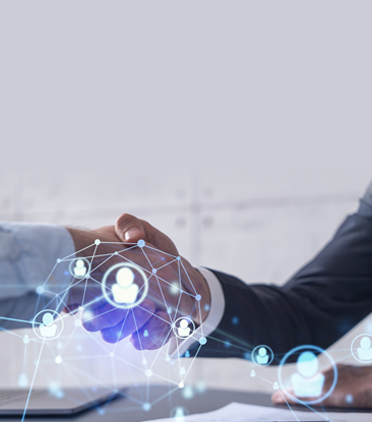 멘토링의 진화, 네트워크 멘토링