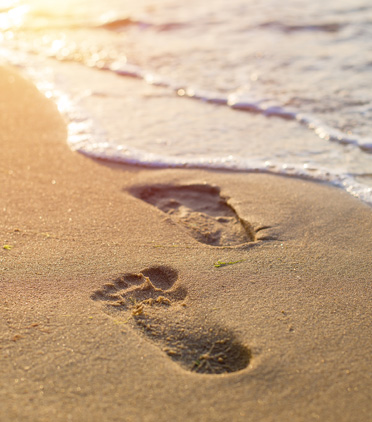 ‘밤으로의 긴 여로’와 히스테리시스 효과