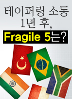 테이퍼링 소동 1년 후, Fragile 5는?